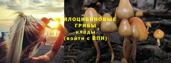 ПСИЛОЦИБИНОВЫЕ ГРИБЫ Алексин