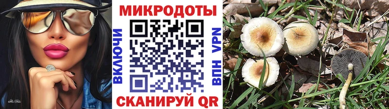 Псилоцибиновые грибы Cubensis Берёзовка